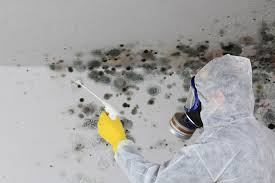 Best Air Quality Testing for Mold Spores  in Avodo Heights, CA